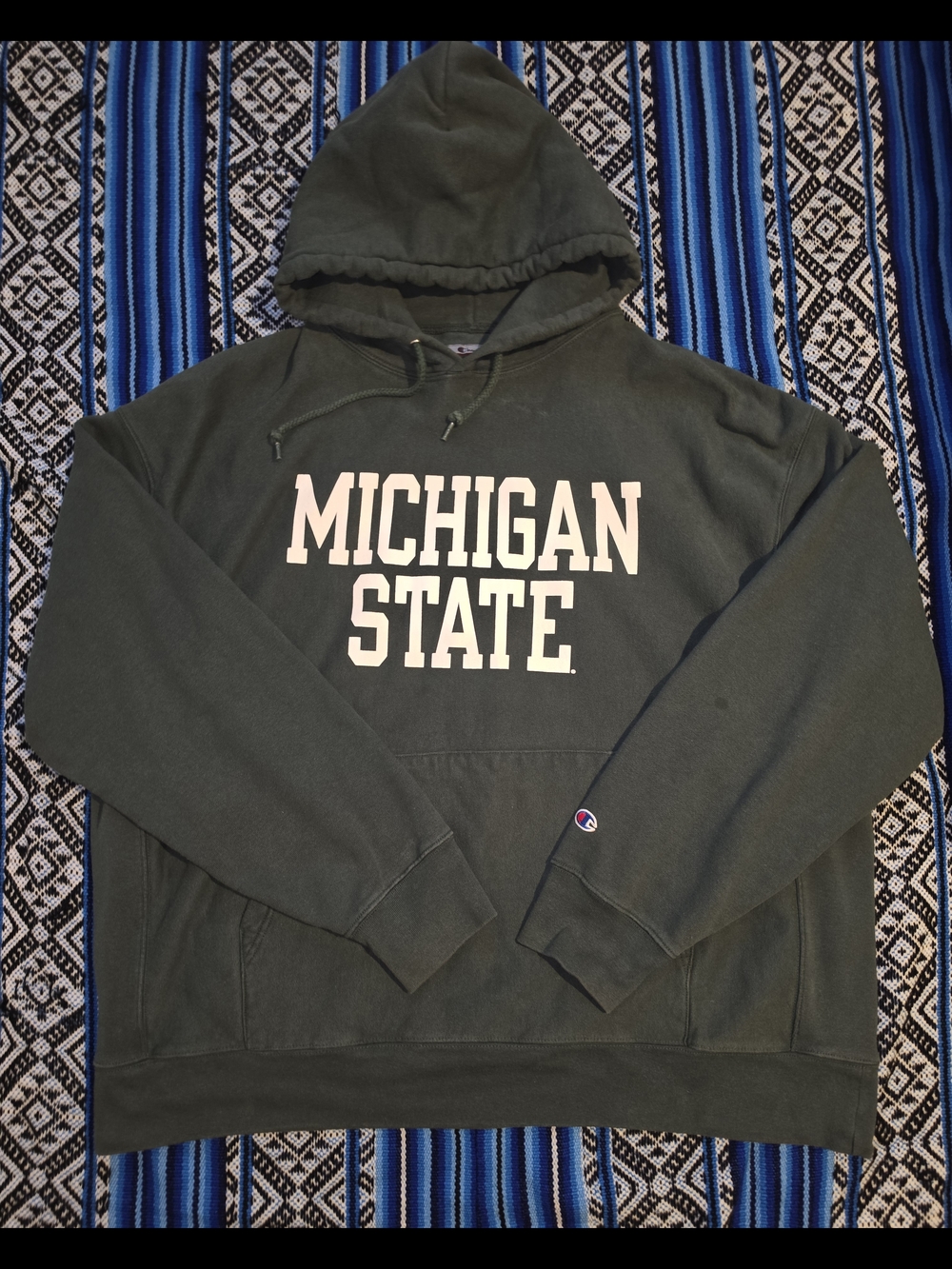 Champion Forest Green Michigan State Pullover Hoodie